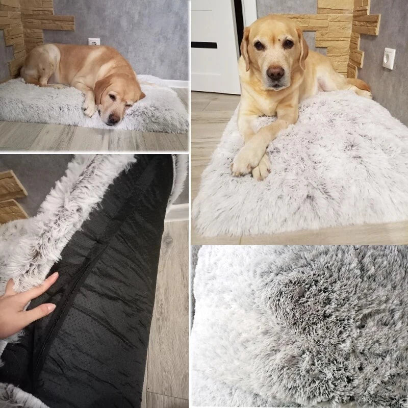 Orthopedic Dog Bed - Waterproof/Washable Cover