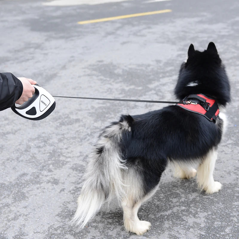 5M Long LED Dog Leash