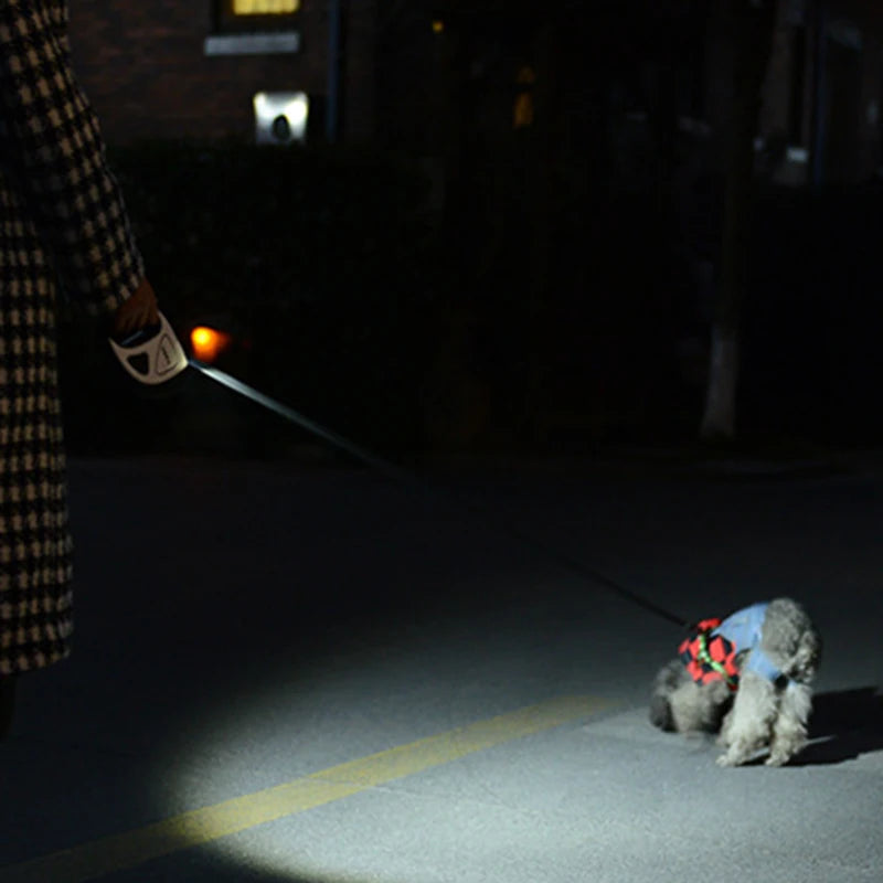 5M Long LED Dog Leash